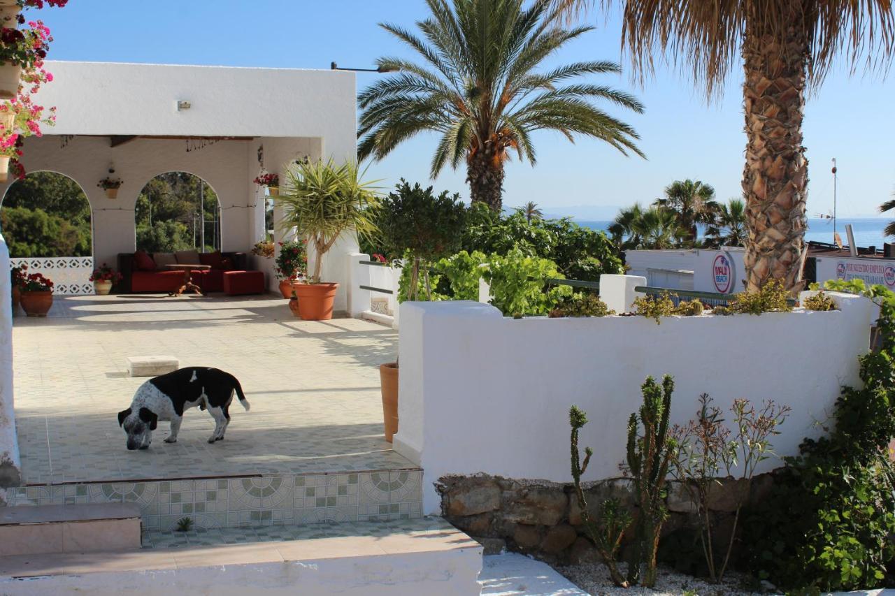 Maison d'hôtes Casaflor *